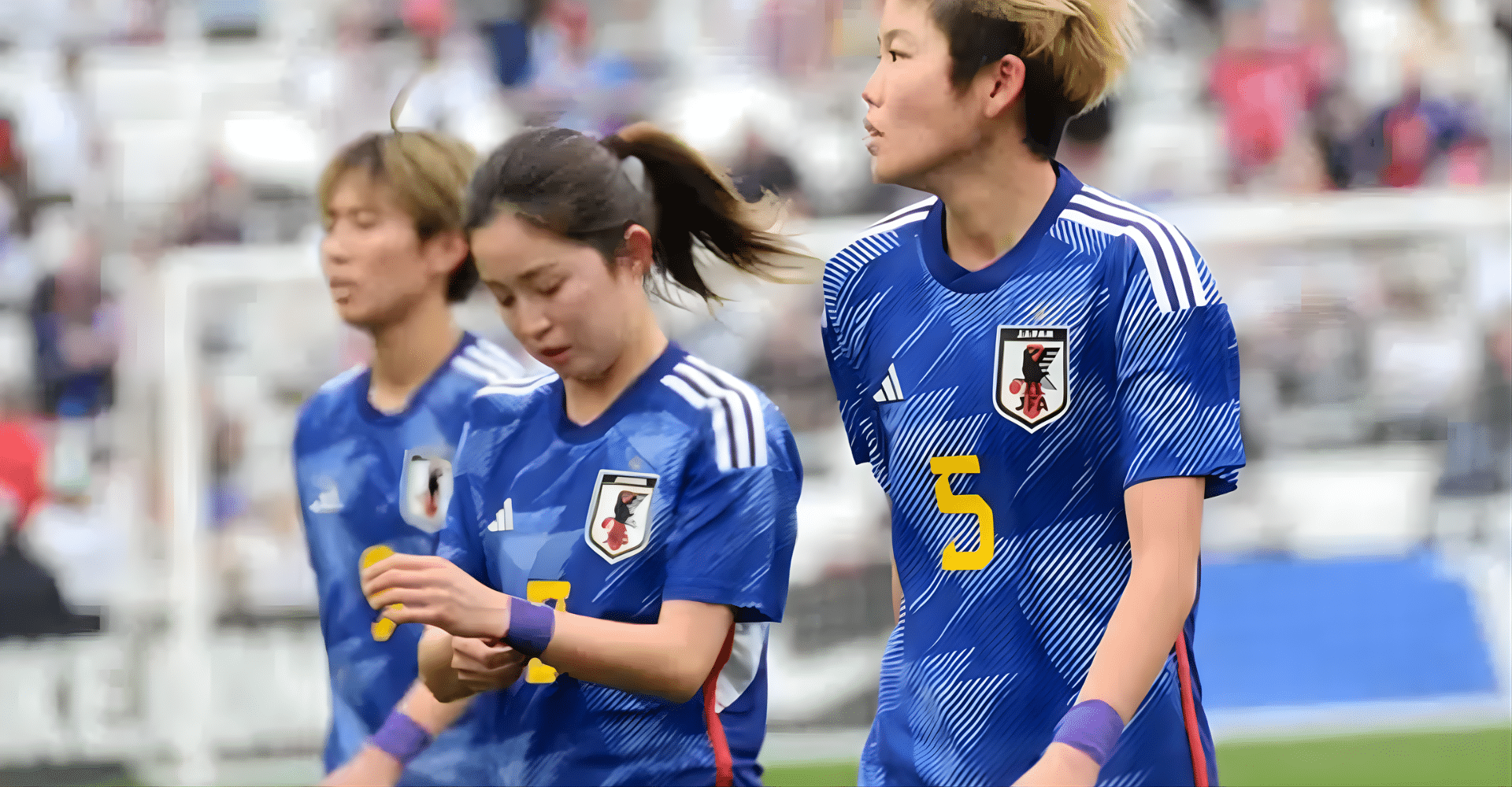Nadeshiko Japan International Friendly Match 2026 Japan Ticket